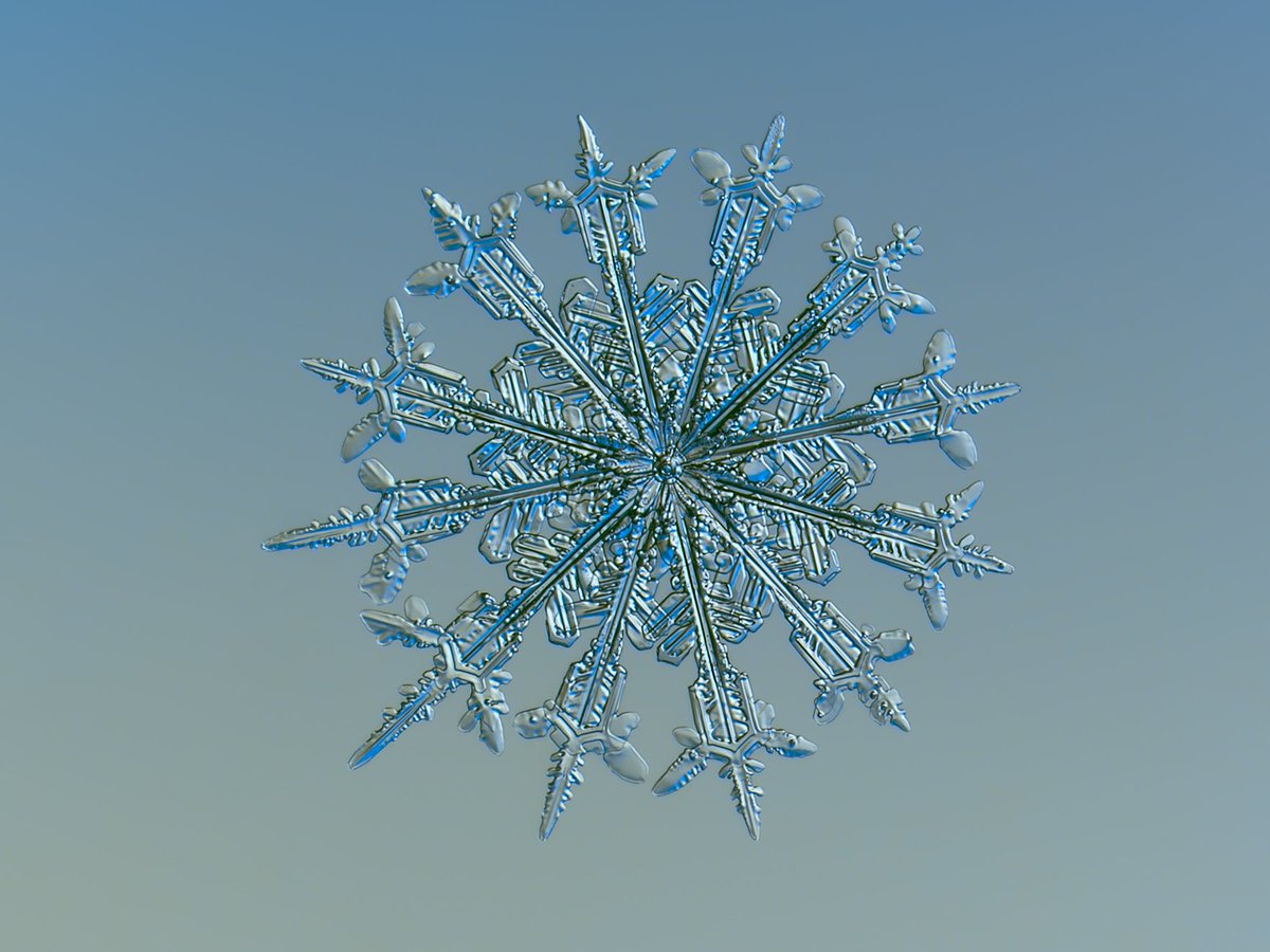 Jamie_Woodward_'s tweet photo. When science is art - stunning photographs of snowflakes @McrMuseum https://t.co/h4usEeHMzA @DerekTheWeather #snow https://t.co/oK6me6FIGf