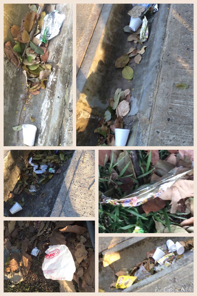 SolMarilys's tweet photo. Pena da #parqueOmar siendo tan bonito y está cochino hagamos campaña para culturizar @AlvaroAlvaradoC @AAUD_Panama https://t.co/jwZqDqO3KS