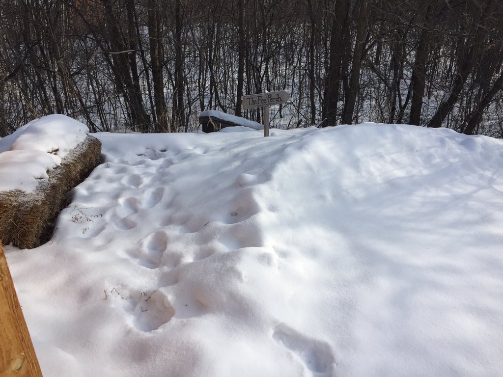 kimpek's tweet image. Getting ready to move some snow. Gotta love it! The is no such as too cold, just not good clothes. #lifeinMN