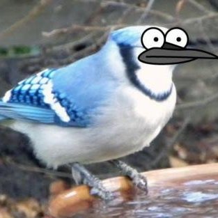 GenderFSW's tweet image. JAJAAJJAAJJAAJAJAJ DIOS  que malo.