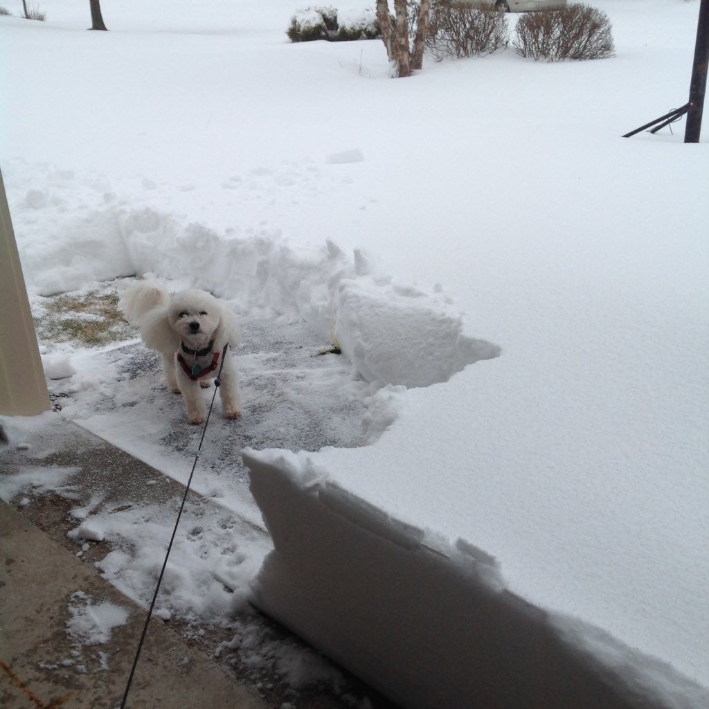 CharlieLockhead's tweet image. #CBS3Snow. First guy out the door...Harleysville.  @katebilo @Nicole_Brewer  Now, for the coffee.