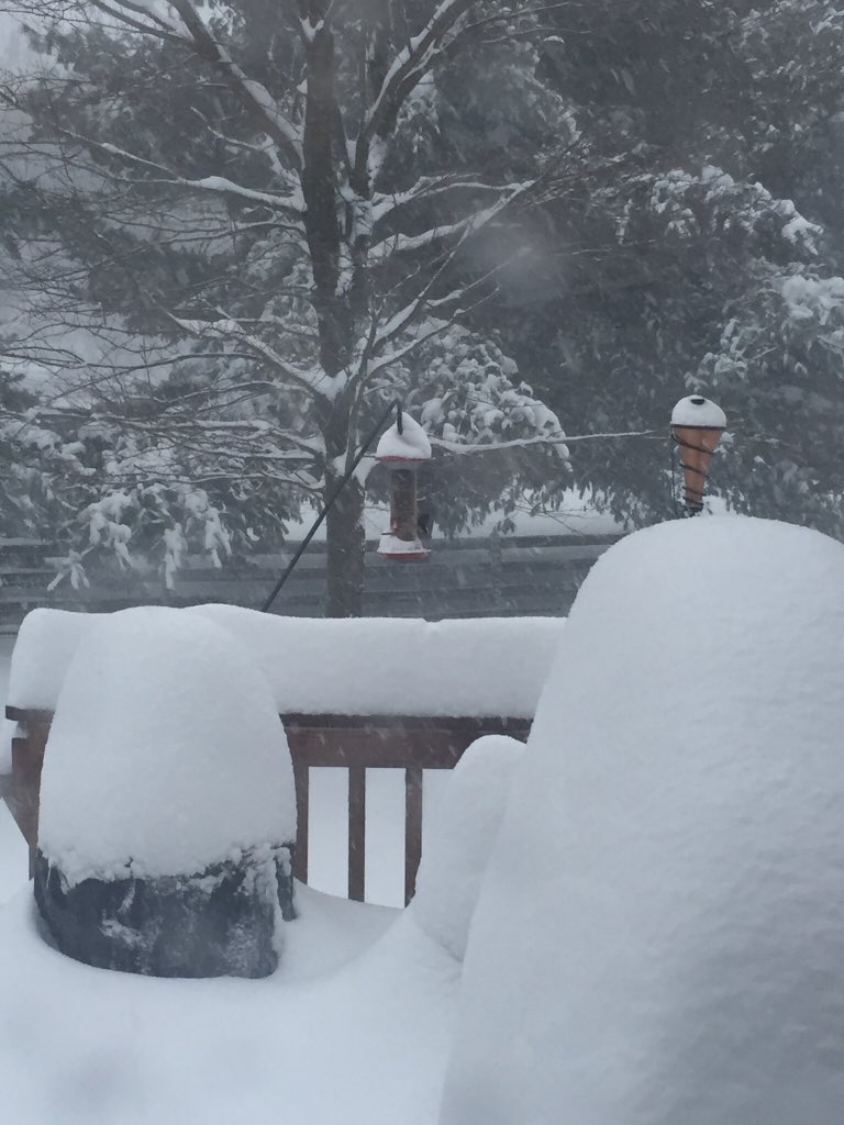 AllenAllie's tweet photo. At least 18" and counting in Damascus MD. But the birds are still at the feeder! @capitalweather @dougkammerer https://t.co/uh1cab6ea1