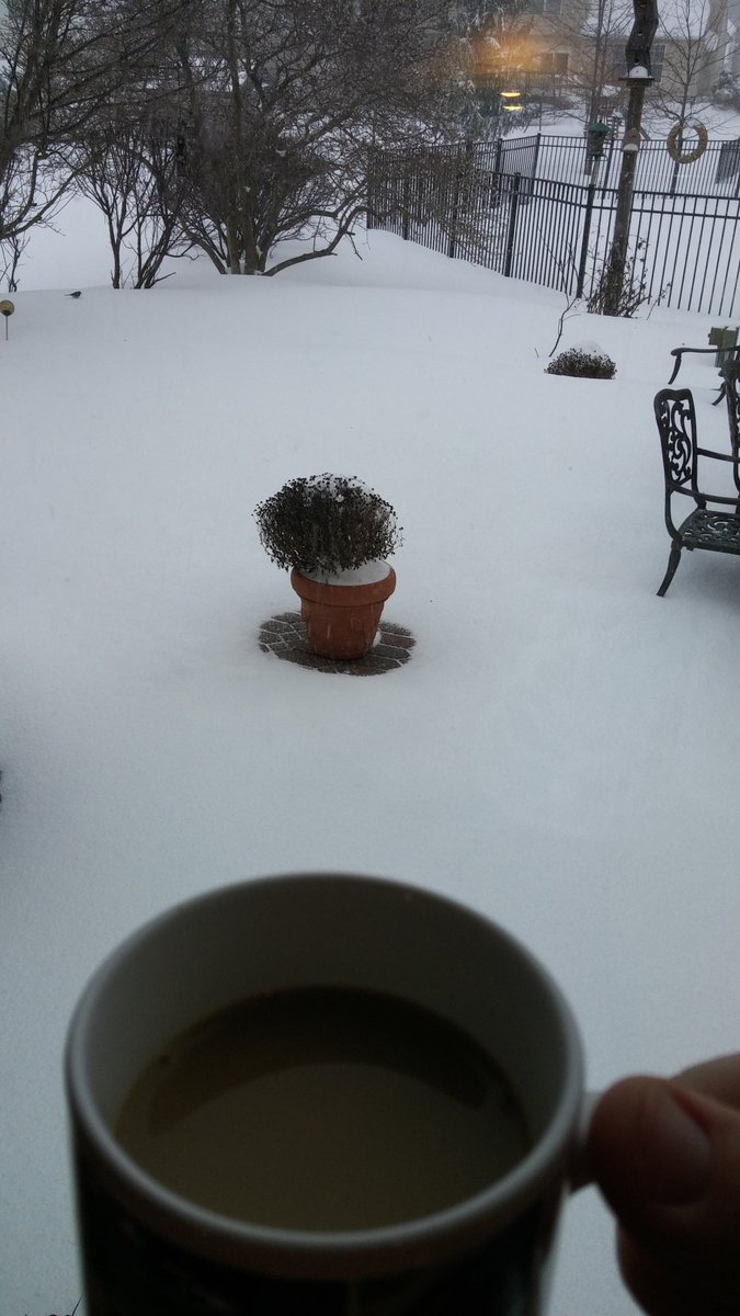 garystrayer1's tweet photo. Inside with Bailey's in my coffee while Jonas whips through.  #blizzard2016 #6abcAction https://t.co/eOdHXkbSdO