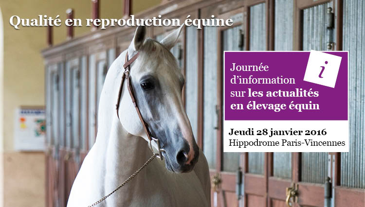 FoaliNet tweet picture