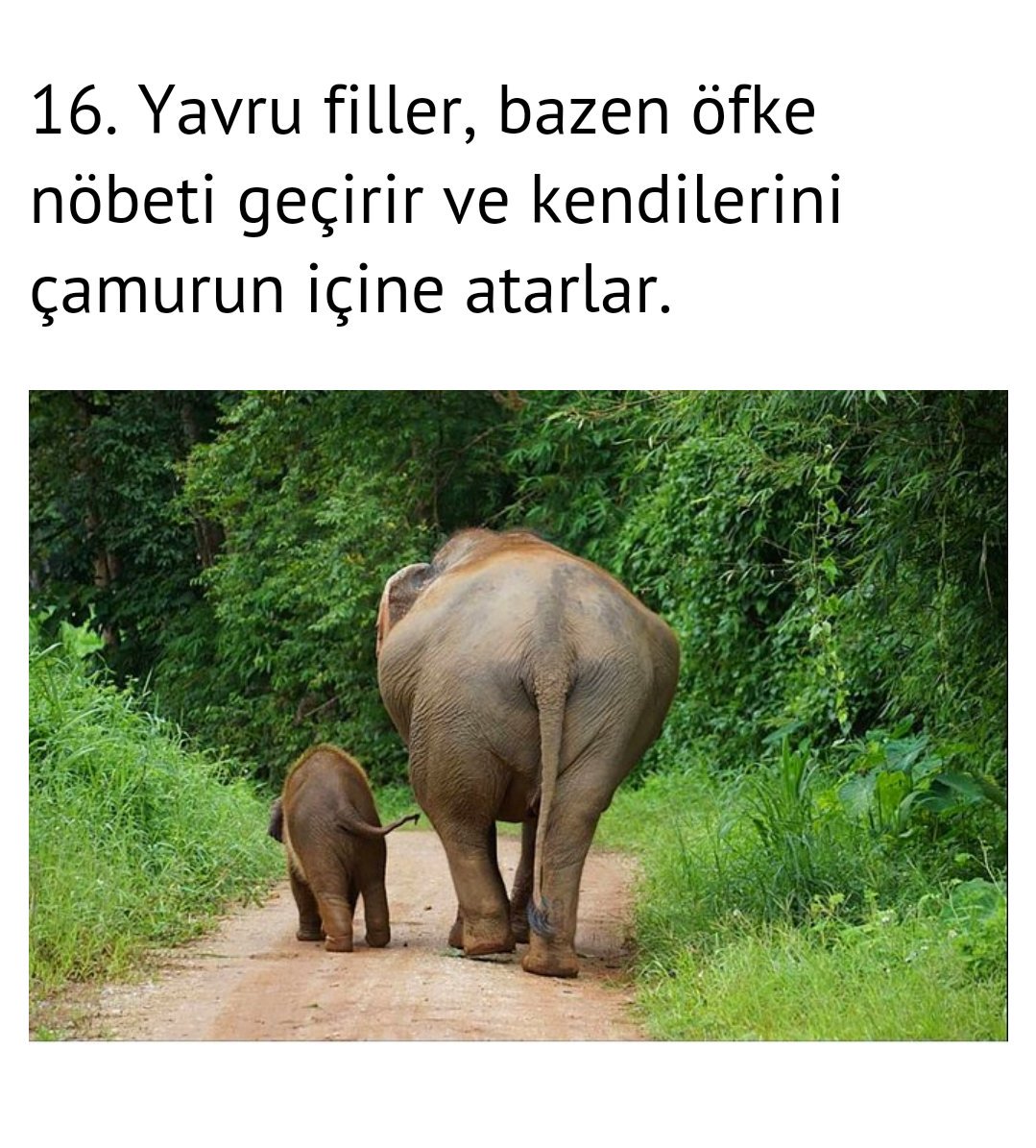 Fndkkmerve's tweet photo. Genel olarak ben.. https://t.co/BmIg7dlGDi