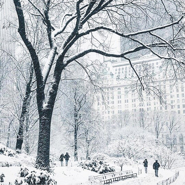 Bergdorfs's tweet photo. Currently, in #NYC. Stay warm with a little shopping, the store is open! Keep checking here for more updates. https://t.co/yrLPlxRSZq