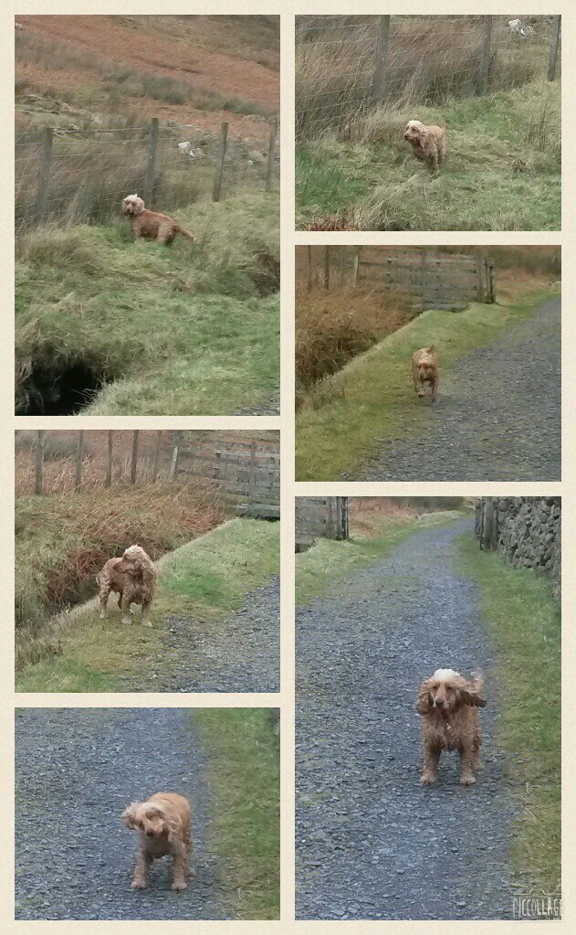 Its_a_Bess_Life's tweet photo. Triathalon training today, walk, run and swim complete #triathlon2016 https://t.co/5Nkh5lSTwf