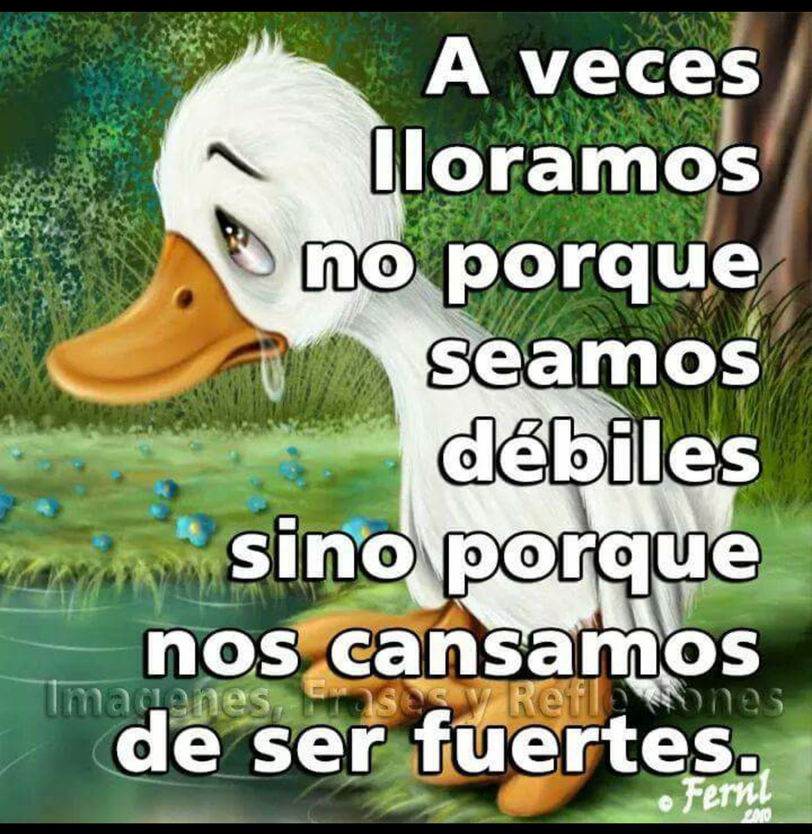 justocm5's tweet photo. https://t.co/00EktN3E9S
