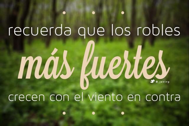 megaSpa's tweet image. Feliz día!