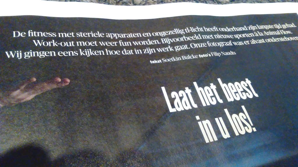 "Work-out moet weer fun worden" via <a href="/demorgen/">De Morgen</a> Precies wat we bij @Howest_Sport beogen! "Laat het beest in u los"