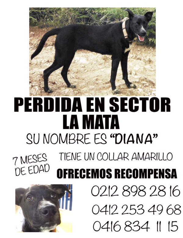 NotiCampiña tweet media