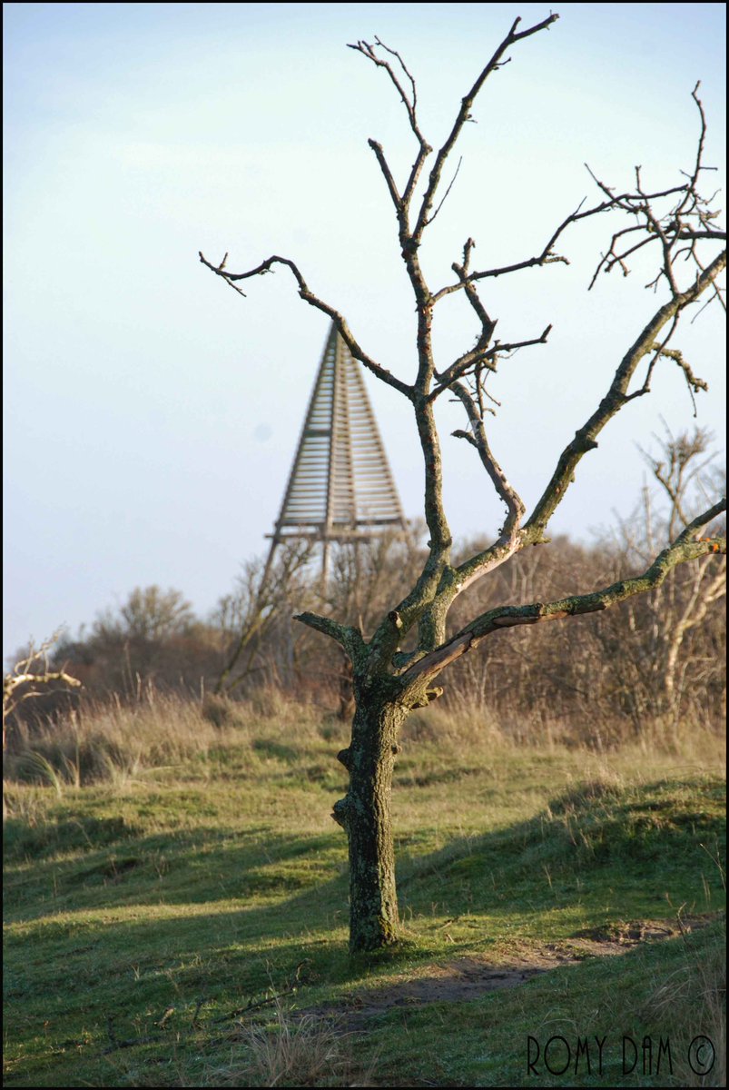 Schiermonnikoog <a href="/wadfotografen/">WADDENFOTO'S</a> <a href="/waddentweets/">Waddenvereniging</a> Baken Kobbeduinen