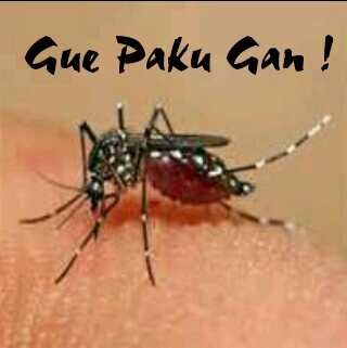agan_32's tweet photo. Pesta kecil https://t.co/prr77QXtkP