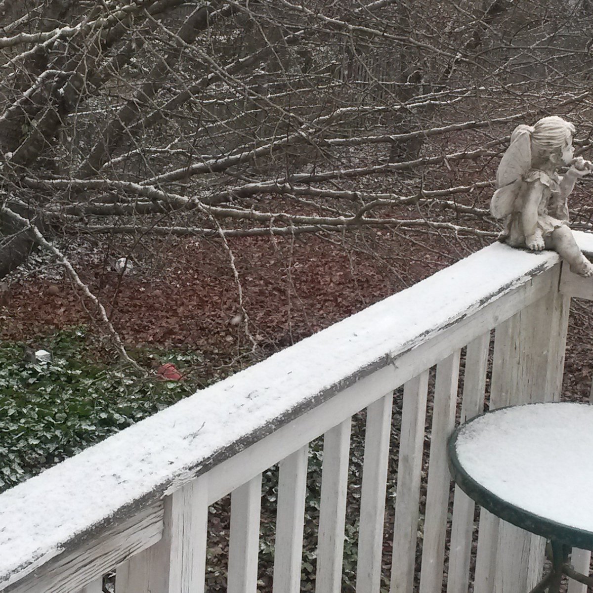 JSCollinsAP's tweet photo. I like how snow makes all the crap I keep not cleaning up in the backyard look nice. #Flizzard2016 https://t.co/gUEn4PnXqO