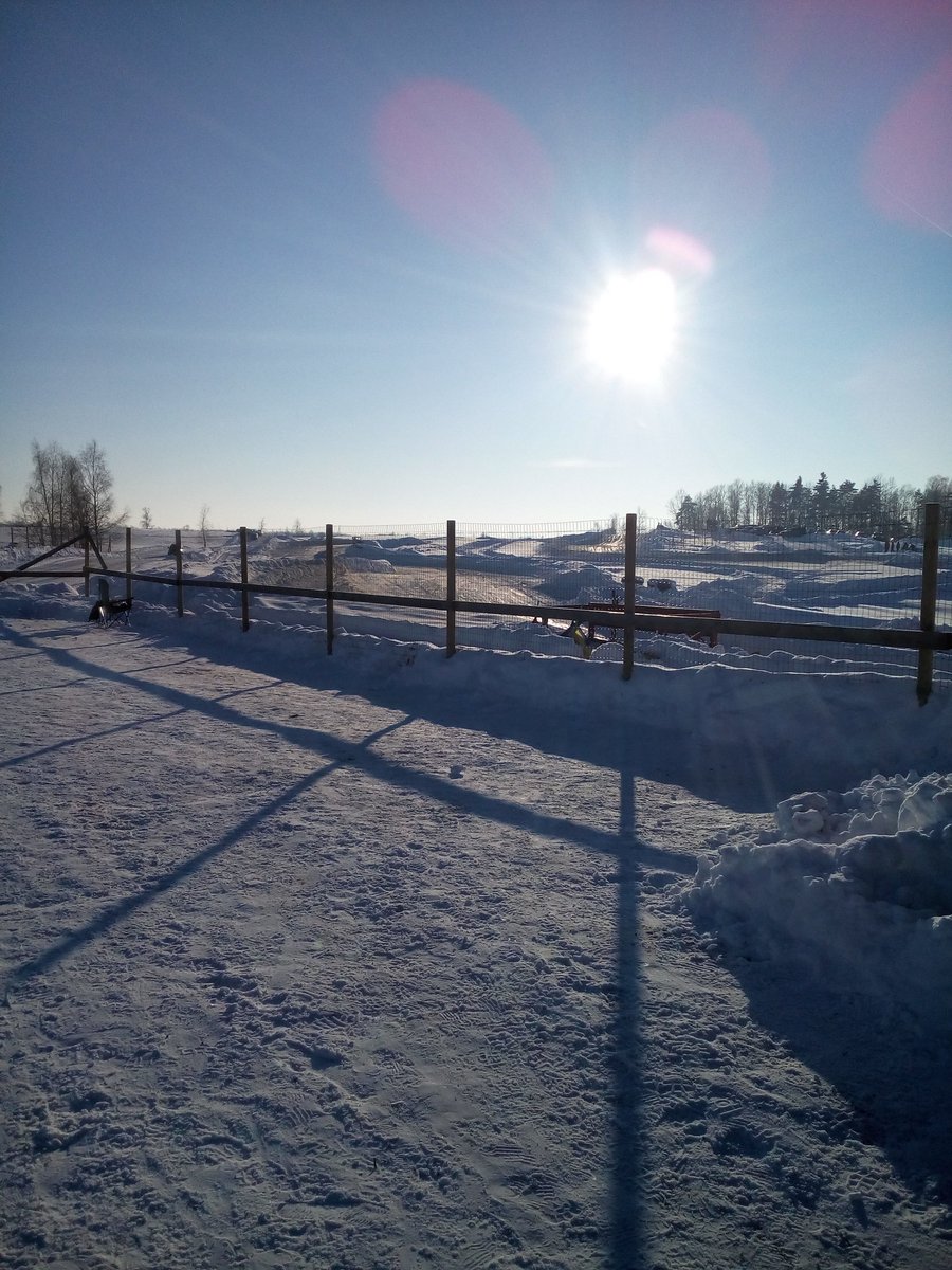 14Matiss tweet picture