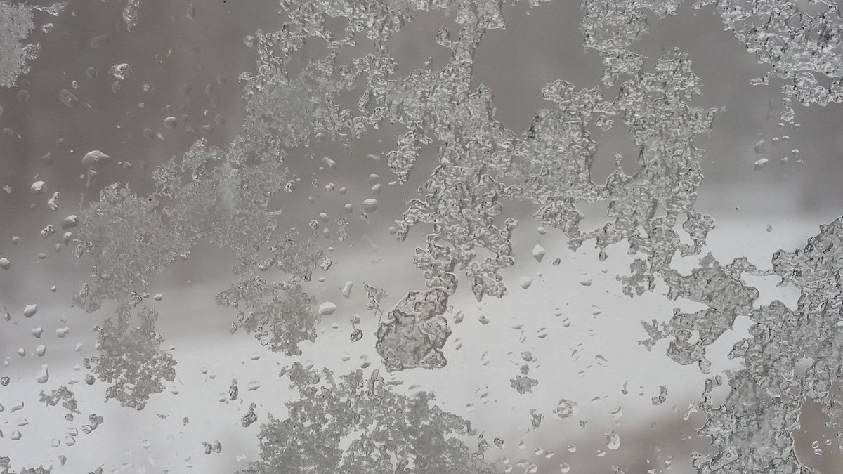 AegisSports's tweet photo. #harcosnow hard to see out the back window, but a foot or more is my guess with drifting much higher. https://t.co/66BPfadTlS