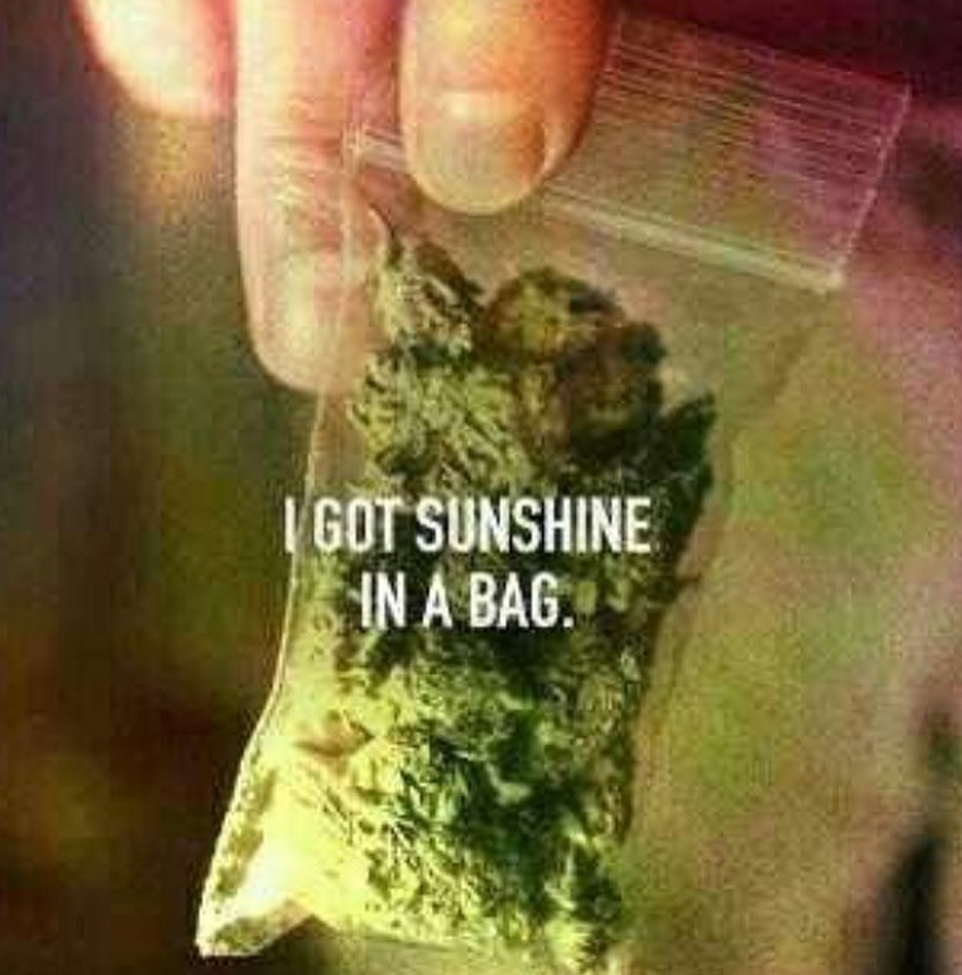 OpuffO2's tweet photo. There may be a storm outside, but there's always sunshine in a bag.
#Cannabis #Oxygen #PuffYeah #snowmaggedon2016 https://t.co/7MmLYiOvO1