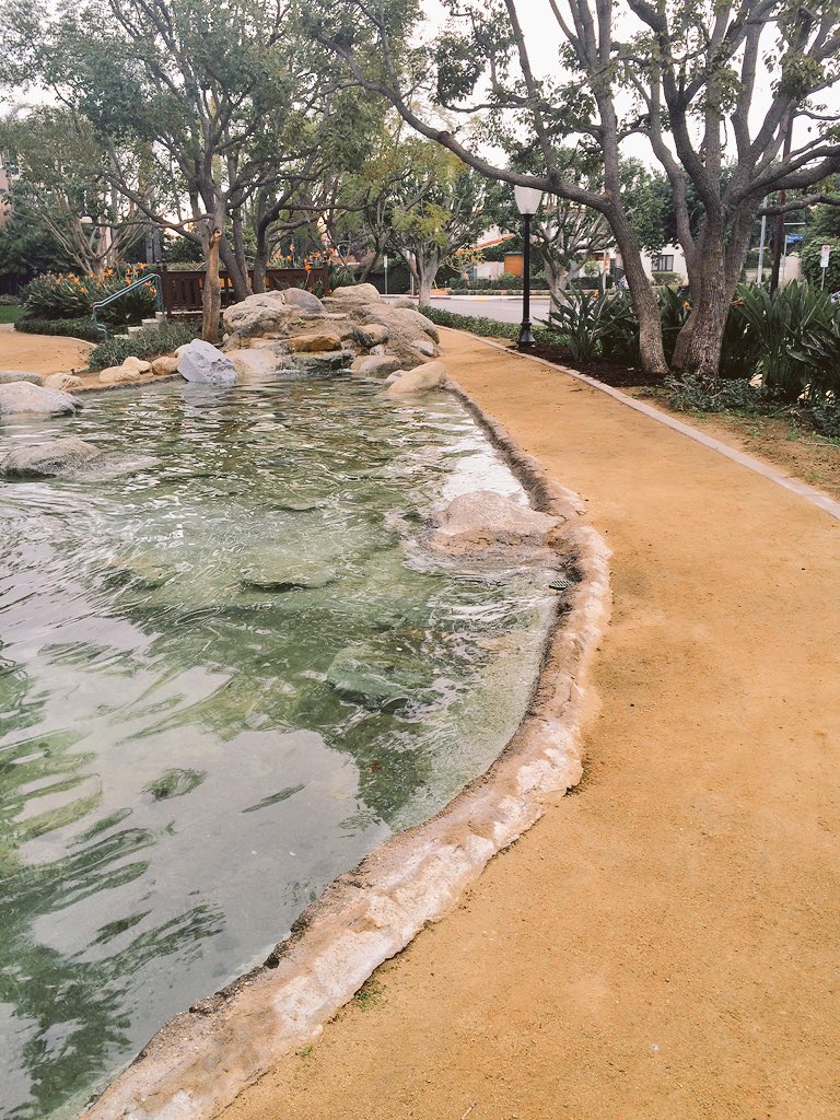 andrewth3third's tweet photo. The backyard sanctuary in Los Angeles. #LA #positiveoutlets https://t.co/K6VSyUAIrG