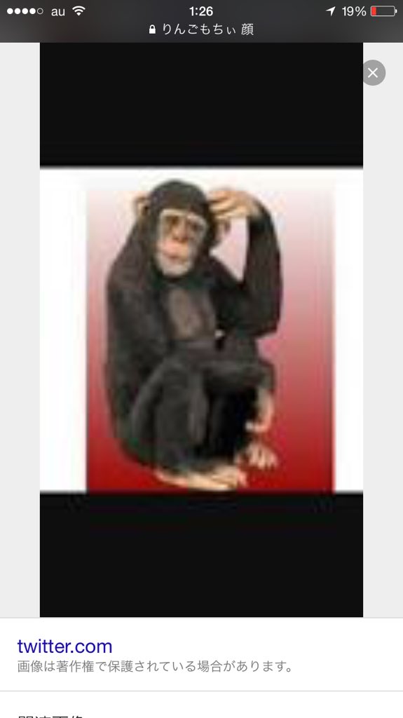 りんごもちぃ５ W りんごもちぃ 顔で検索するとぼくの写真出るのほんとやめてほしい