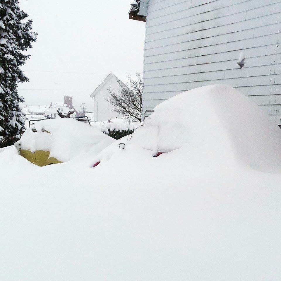 mikeclarkWTAE's tweet image. Britni from Masontown says her family&apos;s two VW Beetles are buried here @WTAE #WTAE #theycandigit