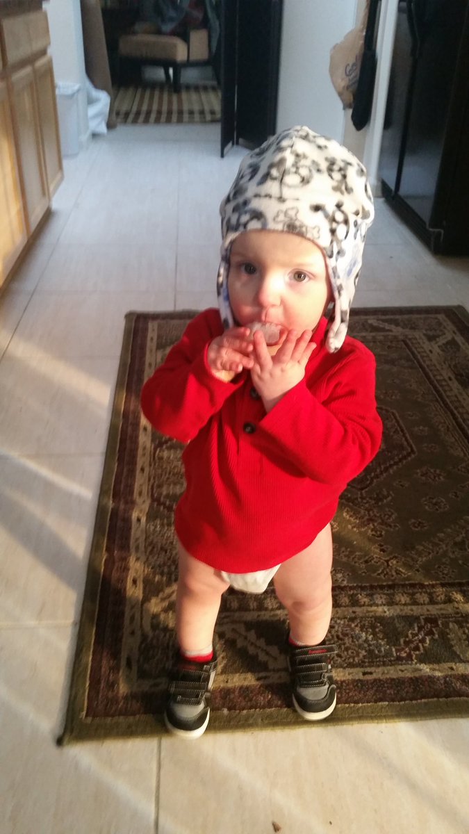 meliseclypse's tweet image. 