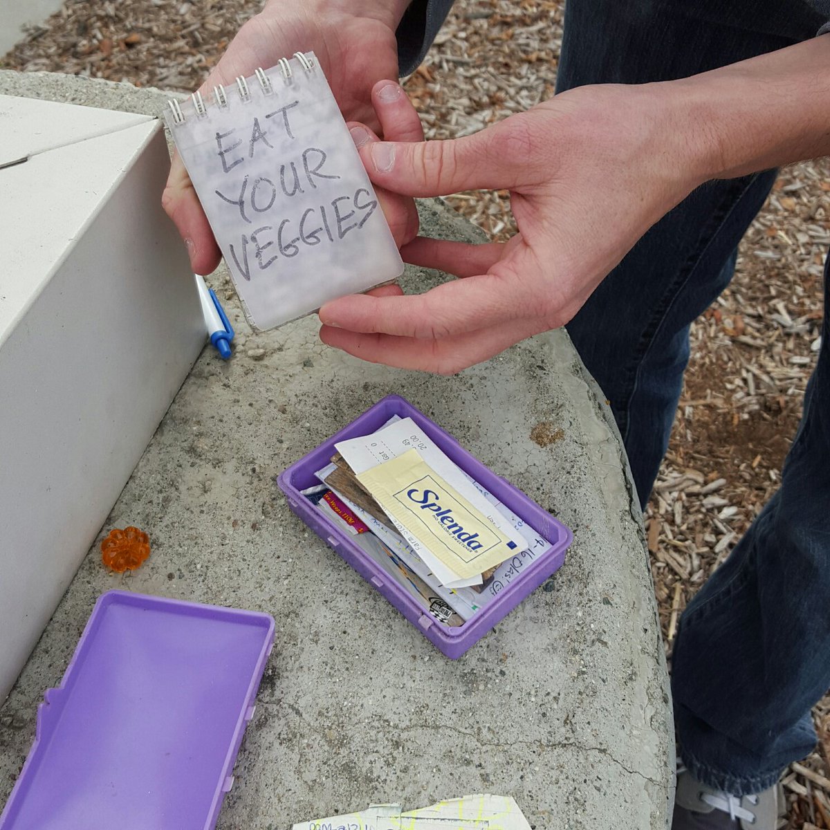 Agents_of_PLACE's tweet image. Aaaaand we&apos;ve got 4 now! #cppcohort2 #geocaching #foundit