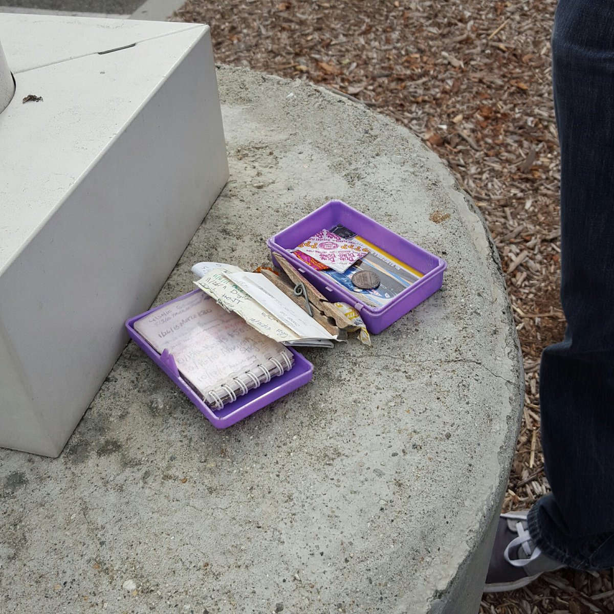 Agents_of_PLACE's tweet image. Aaaaand we&apos;ve got 4 now! #cppcohort2 #geocaching #foundit
