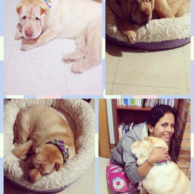 ginnaprodriguez's tweet image. 