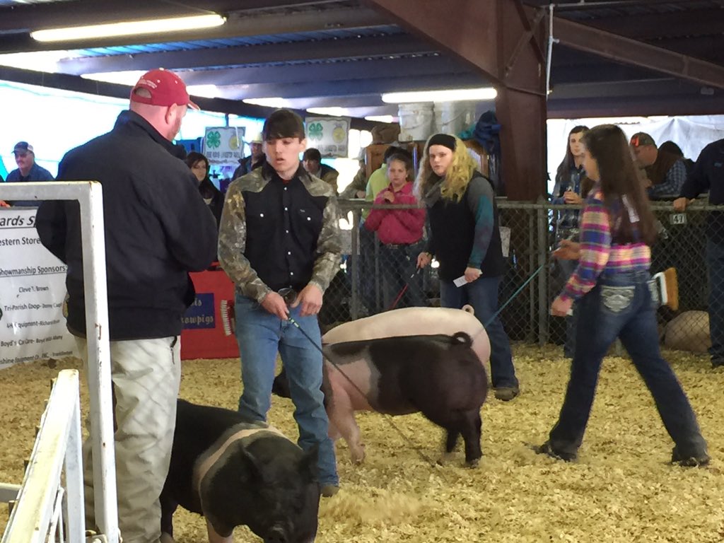 Marie_Laveau's tweet photo. @Omg_Its_John04 Doing what he loves!! #FFA #FutureFarmersOfAmerica #LivingstonParishShowTeam #LiveOakFFA https://t.co/wvJt1v8C0V