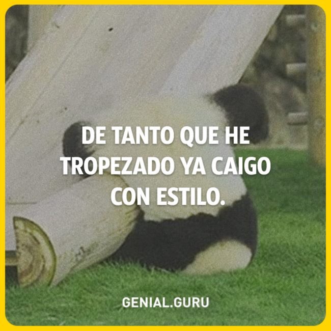 ginnaprodriguez's tweet image. 