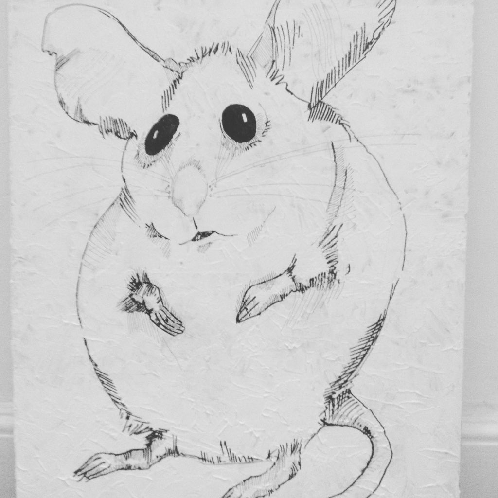 flyingpenguinpo's tweet photo. A mouse #art #mouse #cheese #drawing  #sketch #eanresner #artinit  #acrylic #pen #illustrator #penge https://t.co/xxn58EwmRT