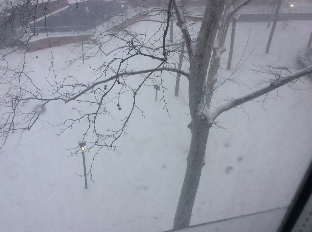 SnowQueen__E's tweet photo. "Sorry for the blizzard" lol https://t.co/g7yrUoYSG5