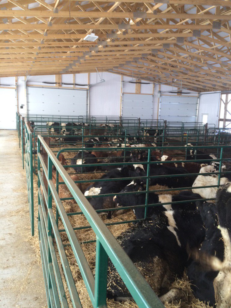 #thanks for the new bed <a href="/PrinzhavenFarms/">Prinzhaven Farms</a>