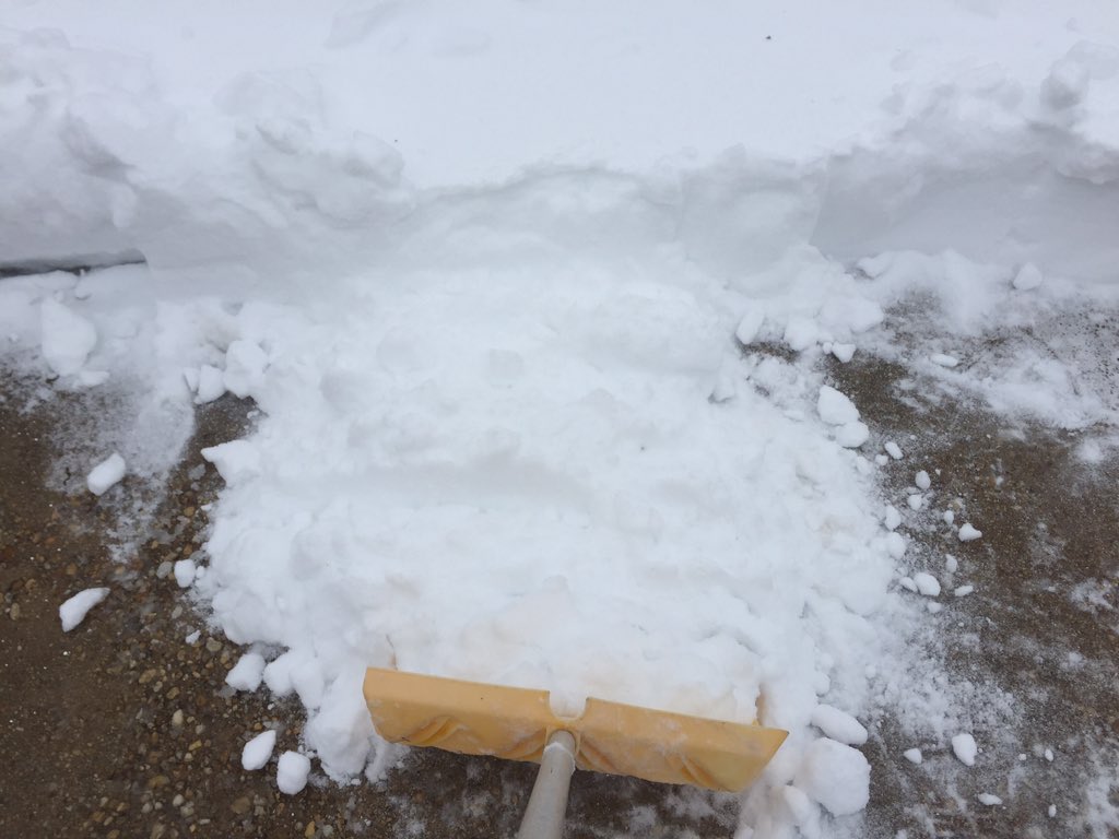 Viviana_Muci's tweet photo. #blizzard2016 #snowmaggedon2016 #shovelingtips break up snow makes it easier to lift & carry #dcsnow https://t.co/kznhgNCSGk