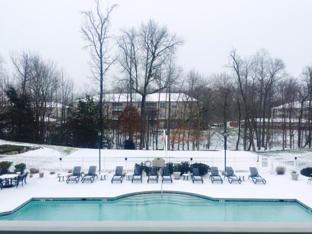 SpringForestNC's tweet image. Enjoy the winter wonderland at Spring Forest! Stay safe!