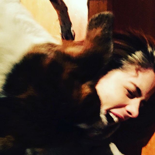When you and your dog are stuck in snow and everything turns super fun