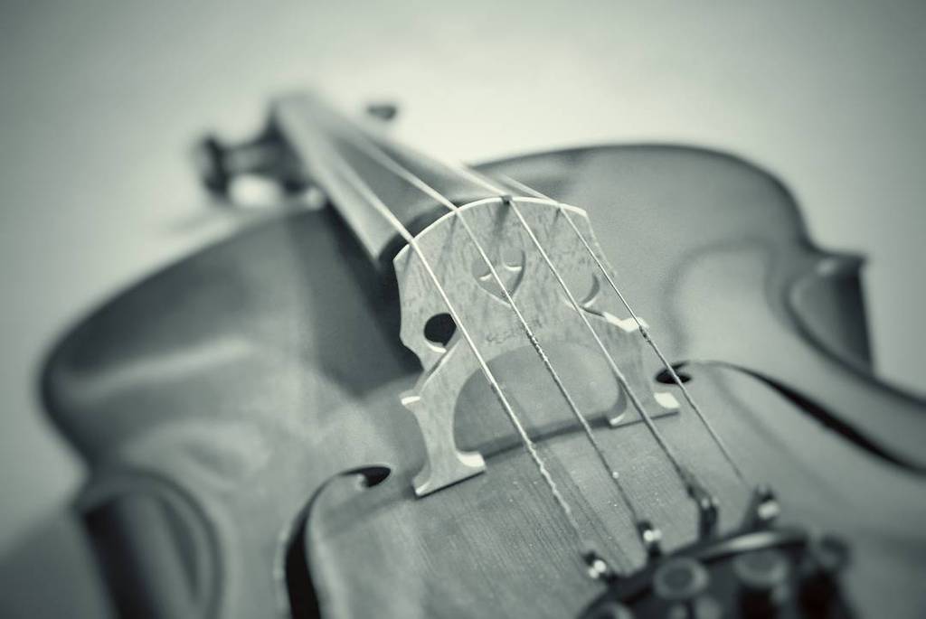 123cellotuner's tweet photo. RT rlbellomy: Just a little #photog experimenting with a #cello. #music #orchestra #blackandwhite #bnw #blacknwhit… https://t.co/eQxlAV7l2n