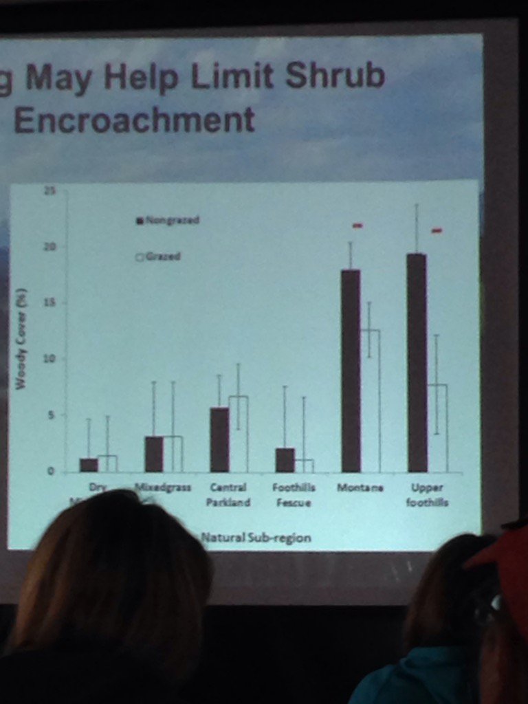 EmLiz11's tweet photo. Grazing and its effect on growth of woody, undesired plants. #grazingisgood #Albertaag https://t.co/nGStad7Ejo