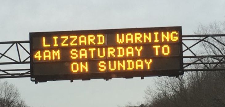 amNewYork's tweet image. While we take on #Blizzard2016, Long Island has a #LizzardWarning to worry about bit.ly/1QkR7uk