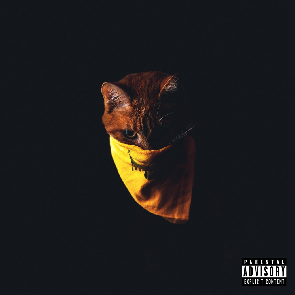 HoodieAllen's tweet photo. Happy Catpurr https://t.co/WVmNxR6HSI