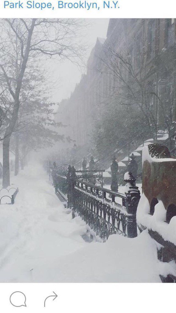 Brooklyn NY right. Wow! Stay safe all. Remember <a href="/SandalsResorts/">Sandals Resorts</a> and <a href="/BeachesResorts/">Beaches Resorts</a> is here waiting for you.