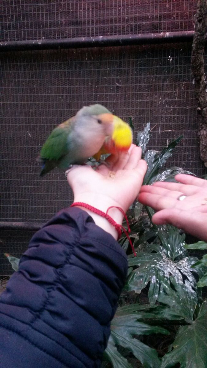 edgargo1010's tweet photo. 🐦 https://t.co/XuBzoAFtYl