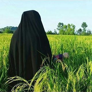 من يريد جماﻻن فالخلاق تكفيهه
