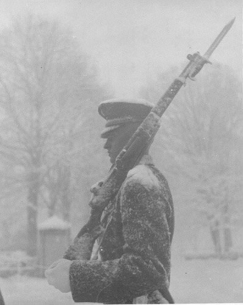 GregAbbott_TX's tweet image. D.C. is covered in snow &amp;amp; government is closed but soldiers at Tomb of Unknown Soldier never quit. #jonasblizzard