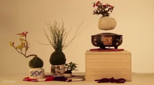 viralberg's tweet image. This Levitating Plant Will Pimp Out Your Coffee Table - viralberg.com/awesome/this-l…
#Awesome #LevitatingPlant