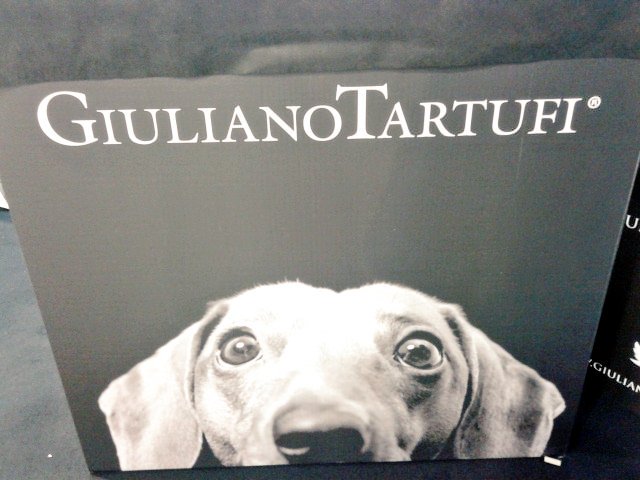 valeporrazzo's tweet photo. E non potevamo non fare un salto alla #RHEX2016 @RhexRimini @Riminifieraspa https://t.co/i5H60yzIa9