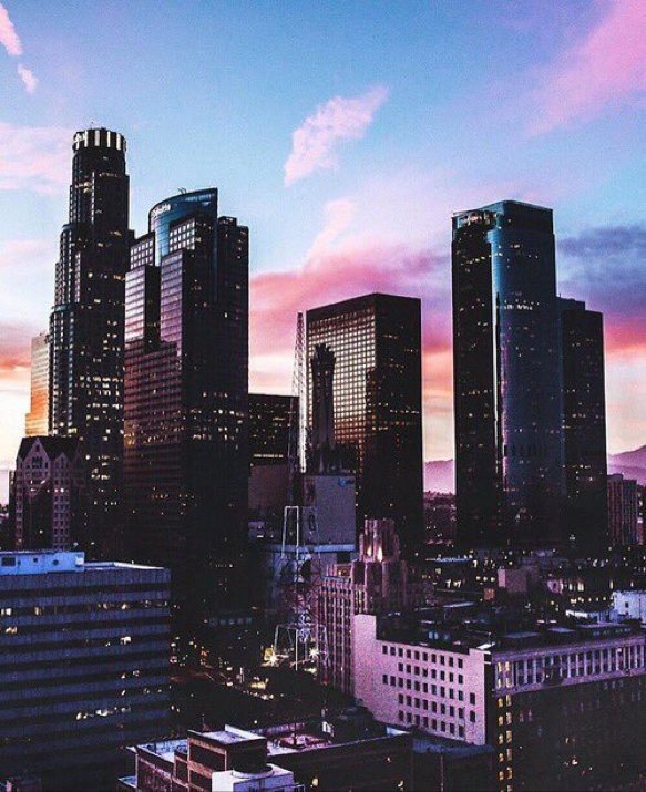 radnature's tweet photo. LA https://t.co/66Oj9LF29S
