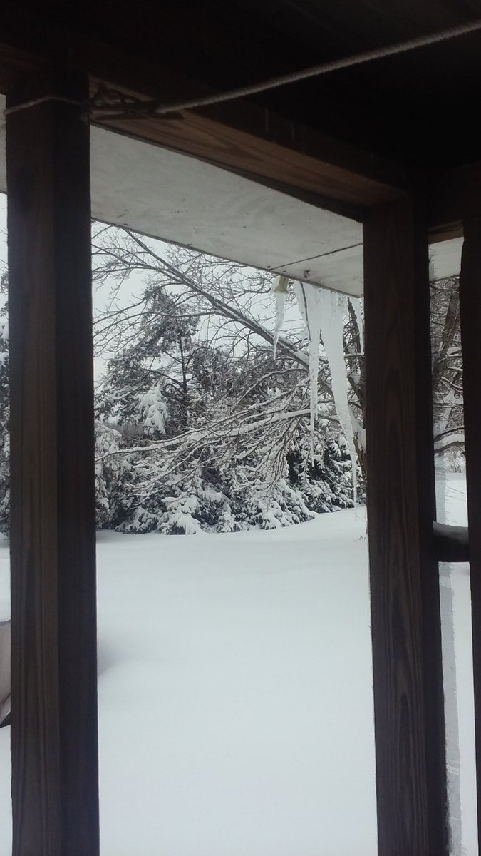 Ladydragoness71's tweet photo. JAN23 ❄ SNOW https://t.co/VCWdTIUKiC
