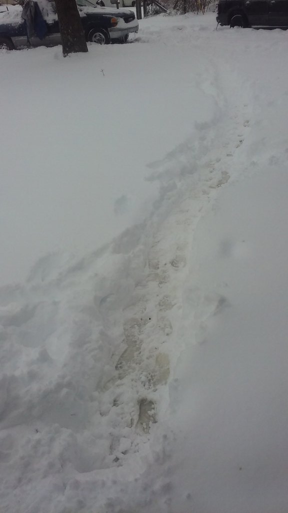 Ladydragoness71's tweet photo. JAN23 ❄ SNOW https://t.co/VCWdTIUKiC