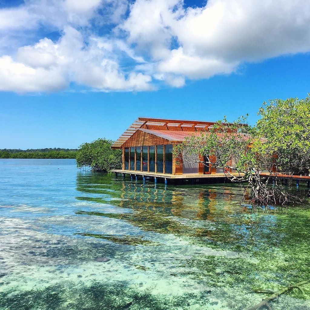 SmartFlyer tweet media